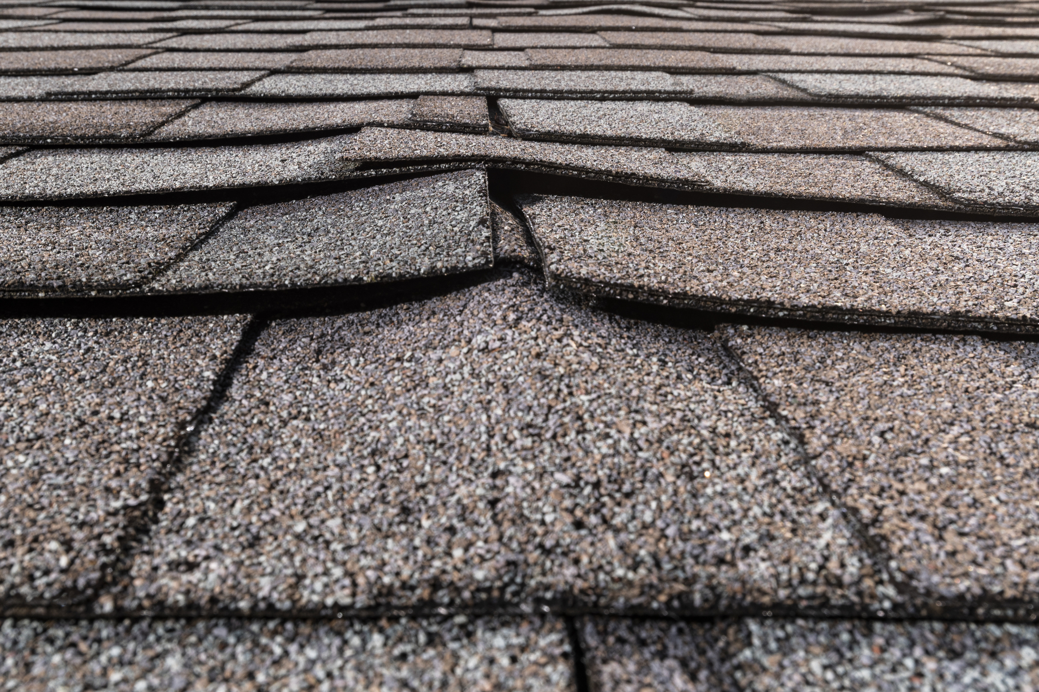 7 Warning Signs You Need a New Roof - Ventura Roofing Company