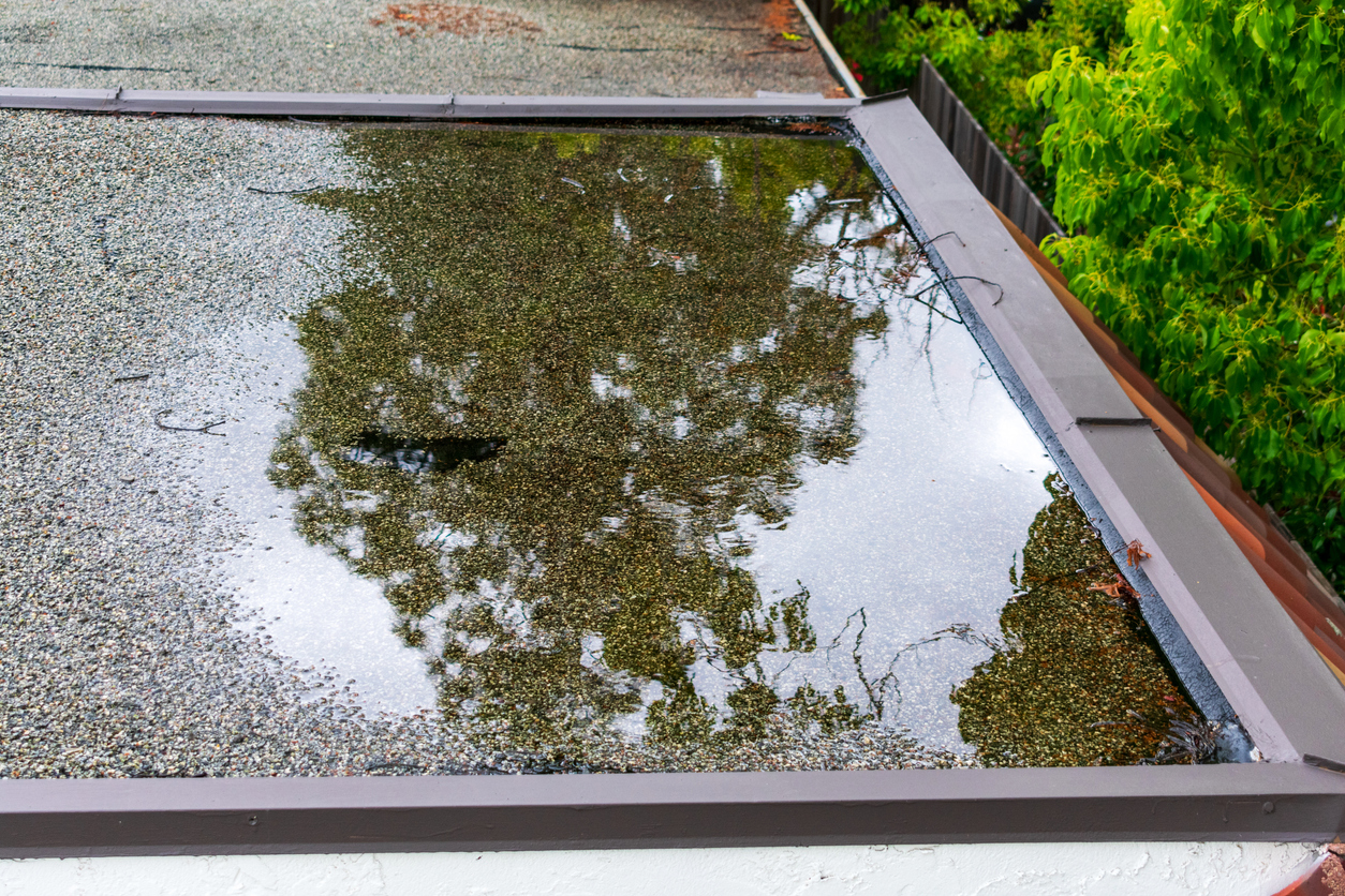 a puddle that flat roof drainage options could avoid